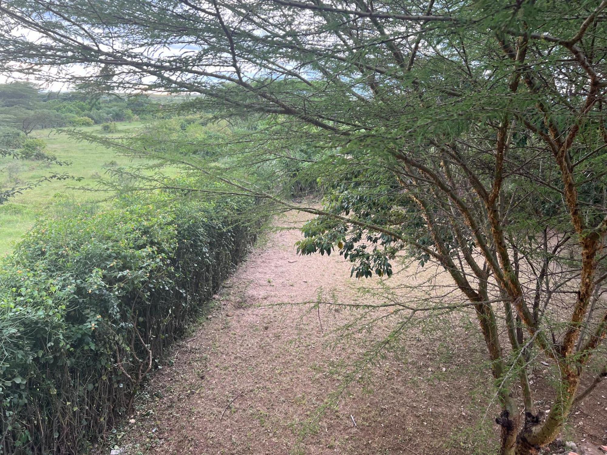 Olaloi Mara Camp Villa Maasai Mara Exteriör bild